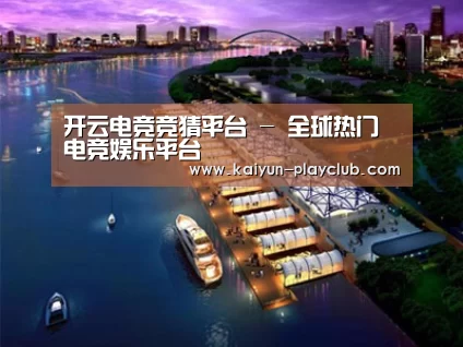 案例展示八
