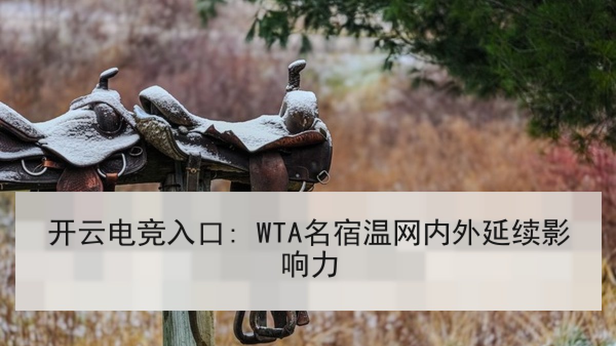 开云电竞入口: WTA名宿温网内外延续影响力
