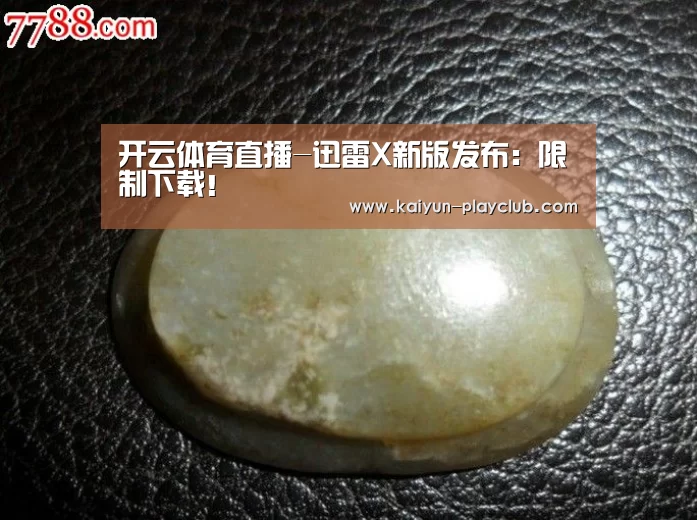 开云体育直播-迅雷X新版发布:限制下载!(图1) 开云足球竞猜