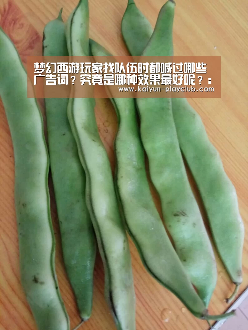梦幻西游玩家找队伍时都喊过哪些广告词?究竟是哪种效果最好呢?:开云体育直播(图2) 开云体育直播